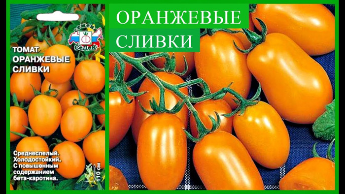 sorta tomatov dlya otkrytogo grunta 4