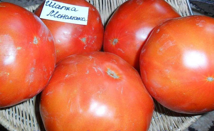 sorta tomatov dlya otkrytogo grunta 68