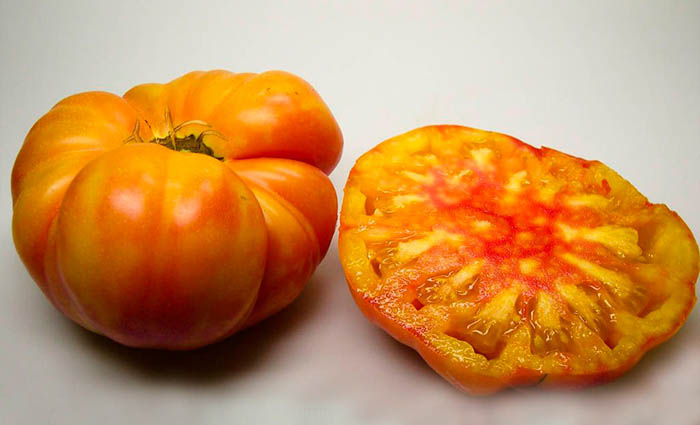 sorta tomatov dlya otkrytogo grunta 72