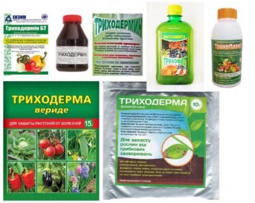 Триходермин - инструкция по применению для растений и отзывы ...