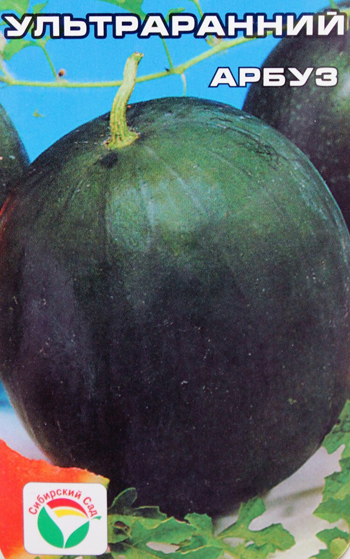 семена арбуз ультраранний. арбуз ультраранний, 3г, русский огород. арбуз ультраранний описание сорта фото отзывы. арбуз ультраранний кольчуга. арбуз ультраранний описание сорта фото отзывы.