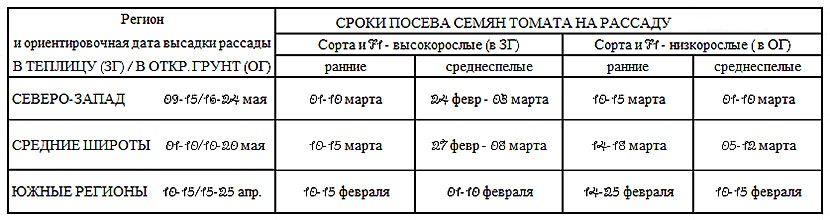 Как правильно вырастить рассаду помидоров. Смотреть фото Как правильно вырастить рассаду помидоров. Смотреть картинку Как правильно вырастить рассаду помидоров. Картинка про Как правильно вырастить рассаду помидоров. Фото Как правильно вырастить рассаду помидоров