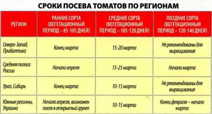 Как правильно вырастить рассаду помидоров. Смотреть фото Как правильно вырастить рассаду помидоров. Смотреть картинку Как правильно вырастить рассаду помидоров. Картинка про Как правильно вырастить рассаду помидоров. Фото Как правильно вырастить рассаду помидоров