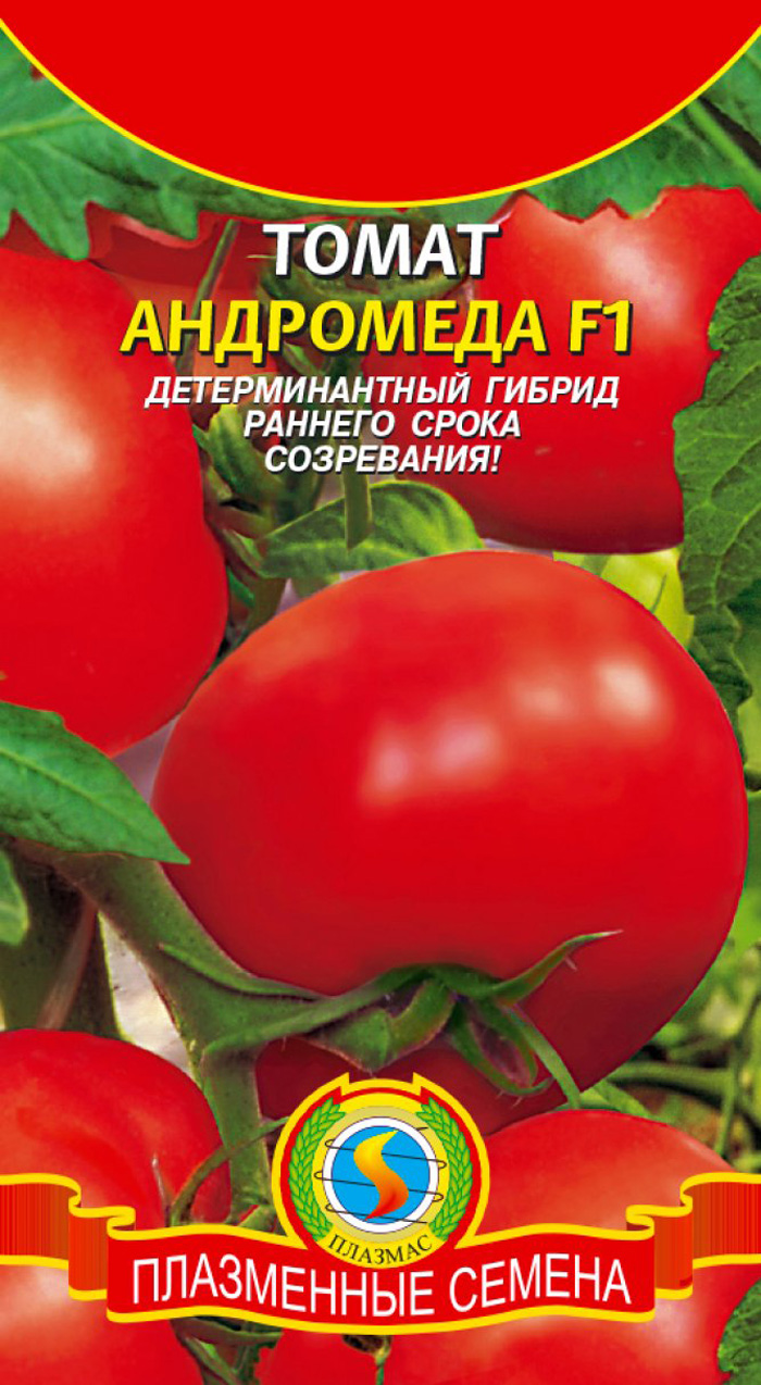 Помидоры андромеда описание фото. Томат Андромеда семена. Томат Андромеда f1. Сорта томатов Андромеда f1. Томат гибрид Андромеда.