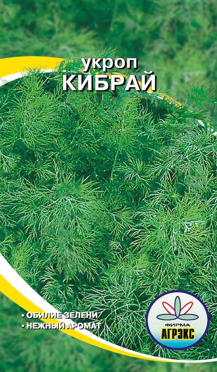 Лучшие сорта укропа с описанием, фото и характеристиками