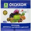 Плющ: описание, виды, особенности выращивания