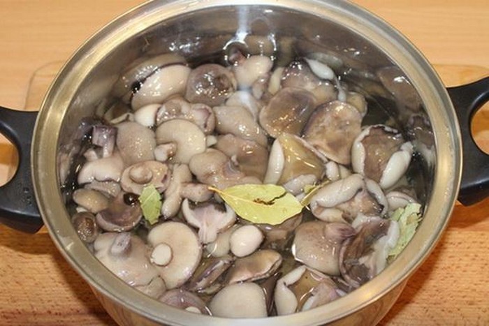 Грибы залить водой. Варка и соление грибов. Маслята маринованные. Зеленые грибы после варки. Маслята маринованные на зиму фото.